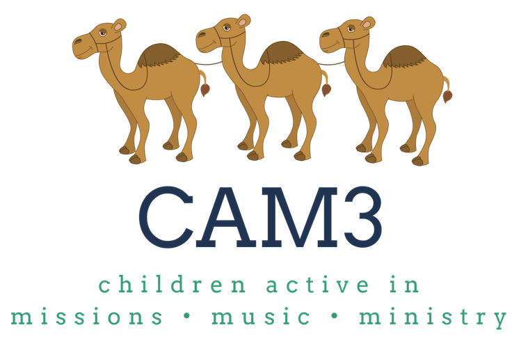 CAM3 Logo